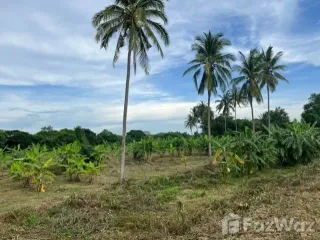 For sale land in Mueang Nong Khai, Nong Khai