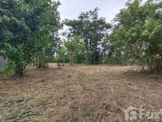 For sale land in Hang Dong, Chiang Mai