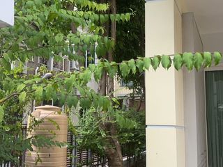 For sale 5 bed townhouse in Phaya Thai, Bangkok