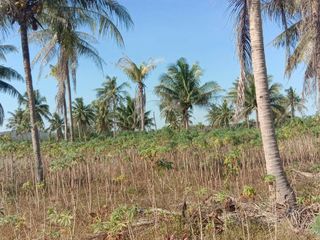 For sale land in Bang Lamung, Chonburi