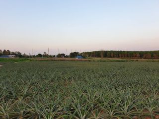 For sale land in Bang Lamung, Chonburi