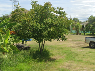 For sale land in Si Racha, Chonburi