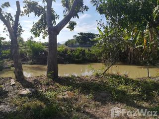 For sale land in Mae Rim, Chiang Mai