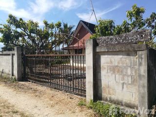 For sale land in Mae Rim, Chiang Mai