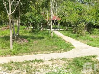 For sale land in Mae On, Chiang Mai