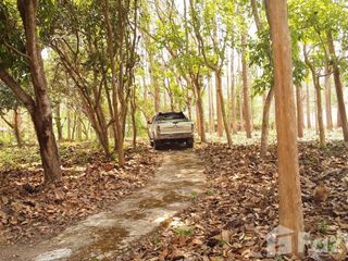 For sale land in Mae On, Chiang Mai