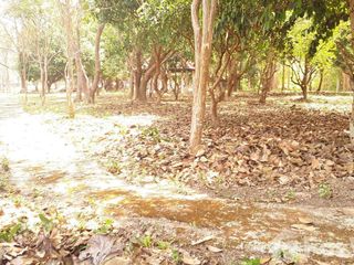 For sale land in Mae On, Chiang Mai