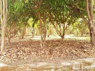 For sale land in Mae On, Chiang Mai