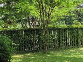 For sale 2 bed villa in San Kamphaeng, Chiang Mai