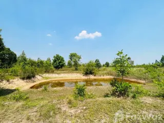For sale land in Mae Taeng, Chiang Mai