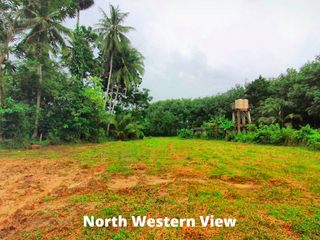 For sale land in Thalang, Phuket