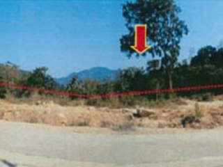 For sale land in Kathu, Phuket