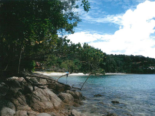 For sale land in Kathu, Phuket