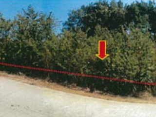 For sale land in Kathu, Phuket