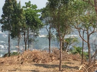 ขาย ที่ดิน ใน เมืองภูเก็ต, ภูเก็ต