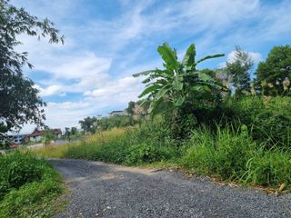 For sale land in Thalang, Phuket
