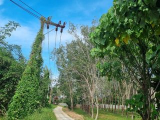 For sale land in Thalang, Phuket