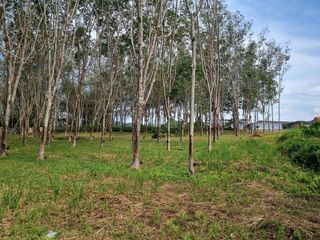 For sale land in Thalang, Phuket