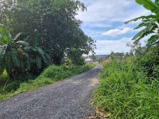 For sale land in Thalang, Phuket