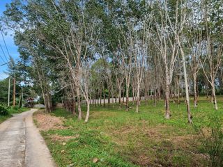 For sale land in Thalang, Phuket