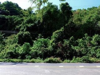 For sale land in Thalang, Phuket