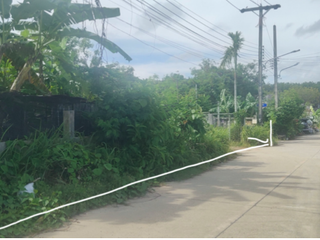 For sale land in Thalang, Phuket
