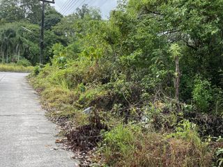 ขาย ที่ดิน ใน เมืองภูเก็ต, ภูเก็ต