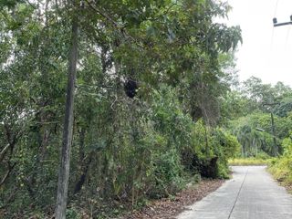 ขาย ที่ดิน ใน เมืองภูเก็ต, ภูเก็ต