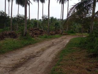 For sale land in Thalang, Phuket