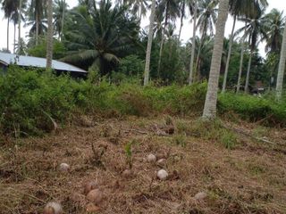For sale land in Thalang, Phuket