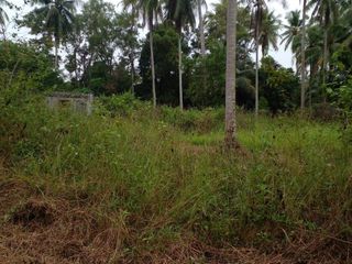 For sale land in Thalang, Phuket