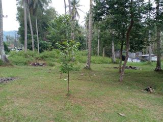 For sale land in Thalang, Phuket