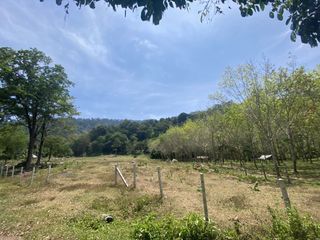 For sale land in Thalang, Phuket