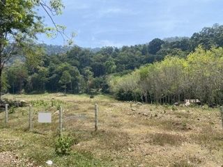For sale land in Thalang, Phuket