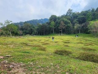 For sale land in Thalang, Phuket