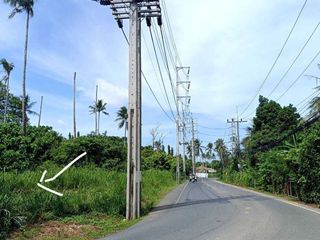 For sale land in Mueang Phuket, Phuket