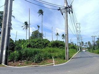 For sale land in Mueang Phuket, Phuket