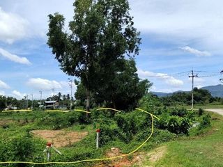 For sale land in Thalang, Phuket