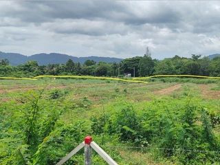 For sale land in Thalang, Phuket