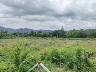 For sale land in Thalang, Phuket