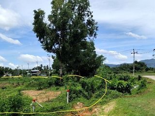 ขาย ที่ดิน ใน ถลาง, ภูเก็ต