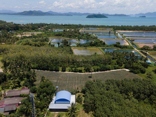 For sale land in Thalang, Phuket
