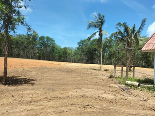 For sale land in Thalang, Phuket
