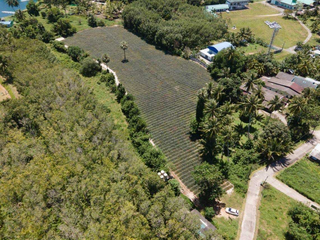 For sale land in Thalang, Phuket