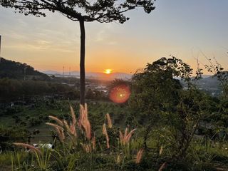 For sale 2 bed hotel in Mueang Phuket, Phuket