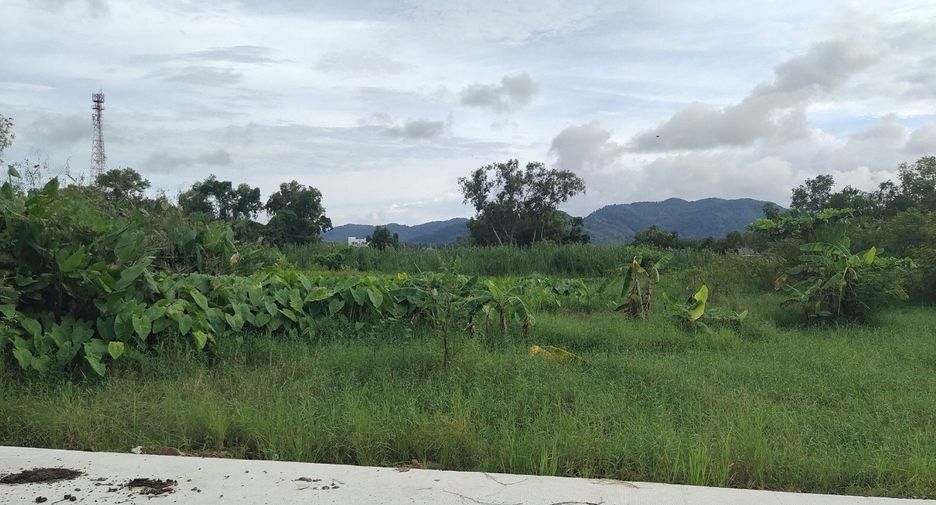 ขาย ที่ดิน ใน ถลาง, ภูเก็ต