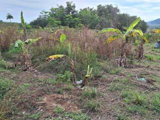 For sale land in Thalang, Phuket