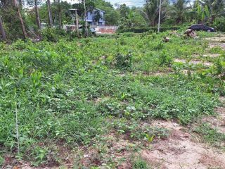 For sale land in Thalang, Phuket