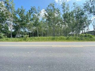 For sale land in Thalang, Phuket