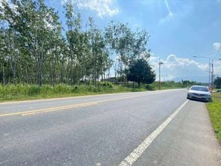 For sale land in Thalang, Phuket